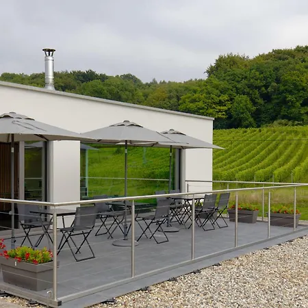 Bed & Breakfast Wijndomein Zwaeneberg